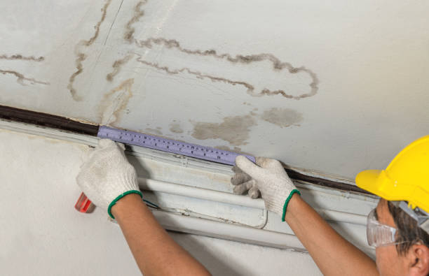 Reliable Mold Remediation contractor in Fayetteville, AR by Local Water Damage Repair